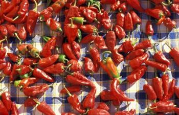 Red Peppers Drying in the Sun, Tunisia | Obraz na stenu