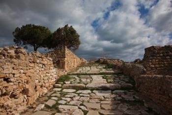 Tunisia, Carthage, Roman Villas, Ancient Architecture | Obraz na stenu