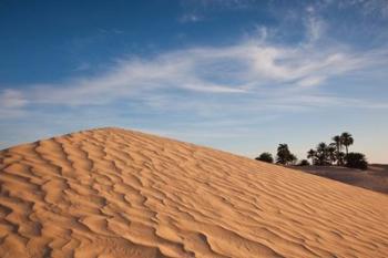 Great Dune, Tunisia | Obraz na stenu