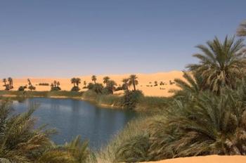 Umm El Ma Lake, Erg Awbari, Sahara Desert, Fezzan, Libya | Obraz na stenu