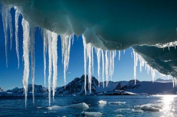Icicle hangs from melting iceberg by Petermann Island, Antarctica. | Obraz na stenu