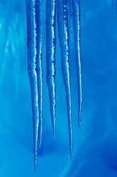 Antarctica, Icicles hanging from the roof of a glacial ice cave. | Obraz na stenu