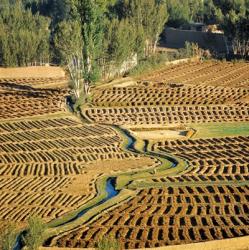 Afghanistan, Bamian Valley, Farmland and irrigation | Obraz na stenu