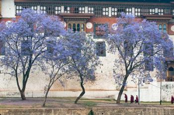 Monks, Punakha Dzong Palance, Bhutan | Obraz na stenu