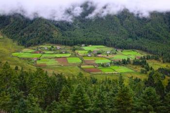 Houses and Farmlands, Gangtey Village, Bhutan | Obraz na stenu