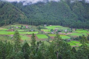 Houses and Farmlands in the Phobjikha Valley, Bhutan | Obraz na stenu