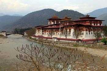 Punakha Dzong, Punakha, Bhutan | Obraz na stenu