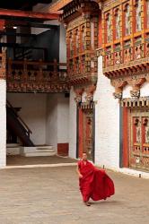 Monk at Punakha Dzong, Punakha, Bhutan | Obraz na stenu