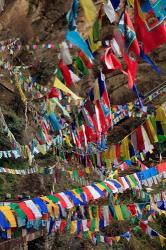 Prayer Flags, Thimphu, Bhutan | Obraz na stenu