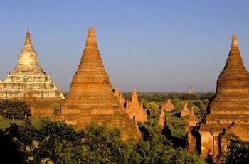 Temples of Bagan Surrounded by Trees, Bagan, Myanmar | Obraz na stenu