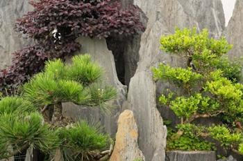 Bao's Family Garden, Huangshan, China | Obraz na stenu