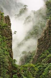 Mist on peaks and valleys, Grand Canyon, Mt. Huang Shan | Obraz na stenu