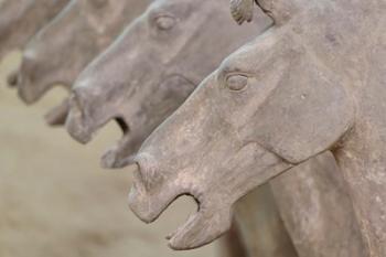 Qin Terra Cotta Warriors and Horses, Xian, Shaanxi, China | Obraz na stenu