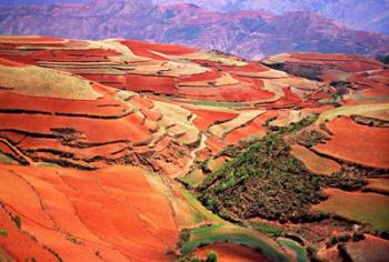 China, Yunnan, Tilled red laterite, Agriculture | Obraz na stenu