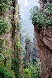 Stone Spires, Zhangjiajie National Forest Park, Hunnan, China | Obraz na stenu