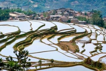 Village Beside Flooded Jiayin Terraces, Honghe County, Yunnan, China | Obraz na stenu