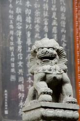 Stone lion statue, Jade Buddha Temple, Shanghai, China | Obraz na stenu