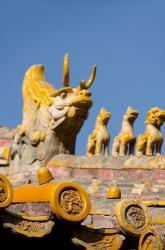 Dragon roof, Hall of Consolation, Forbidden City, Beijing, China | Obraz na stenu