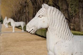 Carved horse statues, Changling Sacred Was, Beijing, China | Obraz na stenu