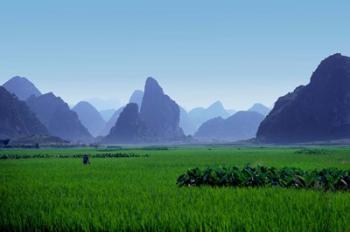 Farmland with the famous limestone mountains of Guilin, Guangxi Province, China | Obraz na stenu