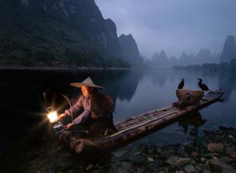 Chinese Woman Fishing with Cormorants, near Guilin, Li River, China | Obraz na stenu