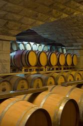 Barrels in cellar at Chateau Changyu-Castel, Shandong Province, China | Obraz na stenu
