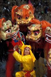Lion Dance Celebrating Chinese New Year, Beijing, China | Obraz na stenu