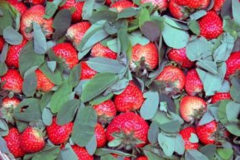 China, Chongqing, Strawberries in fruit market | Obraz na stenu