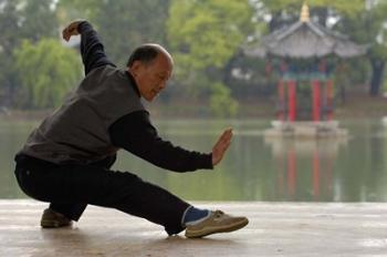 Man Doing Tai Chi Exercises at Black Dragon Pool with One-Cent Pavilion, Lijiang, Yunnan Province, China | Obraz na stenu