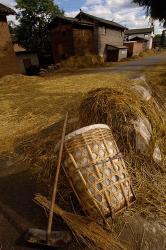 Bai Minority Laying Wheat on the Road, Jianchuan County, Yunnan Province, China | Obraz na stenu