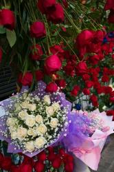 Flower Market, Chongqing City, Chongqing Province, China | Obraz na stenu