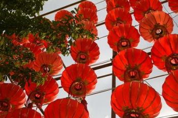 Red Lanterns on Boai Lu, Dali, Yunnan Province, China | Obraz na stenu