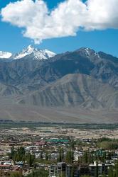 Landscape, Indus Valley, Leh, Ladakh, India | Obraz na stenu