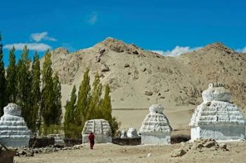 White Stupa Forest, Shey, Ladakh, India | Obraz na stenu