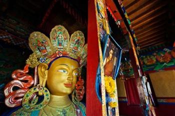 Dalai Lama Picture Beside Maitreya Buddha, Thiksey Monastery, Thiksey, Ladakh, India | Obraz na stenu