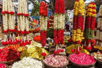 Flower shop, southern India | Obraz na stenu