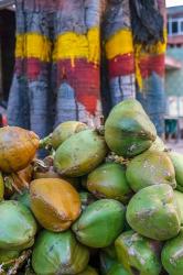 Pile of coconuts, Bangalore, India | Obraz na stenu