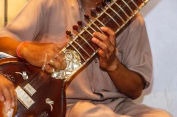 Sitar player, Varanasi, India | Obraz na stenu