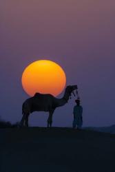 Camel and Person at Sunset, Thar Desert, Rajasthan, India | Obraz na stenu