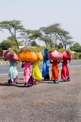 Women Carrying Loads on Road to Jodhpur, Rajasthan, India | Obraz na stenu