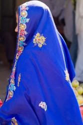 Sari Woman, New Delhi, India | Obraz na stenu