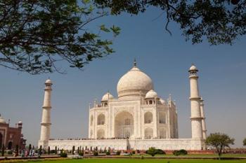 Asia, India, Taj Mahal with trees above as framing element | Obraz na stenu