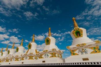 India, Jammu and Kashmir, Ladakh, Leh, chortens at Thiksey Monastery | Obraz na stenu