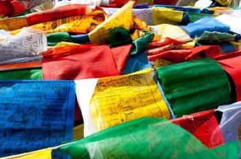 Prayer flags, Namshangla Pass, Ladakh, India | Obraz na stenu