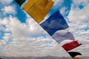 Prayer flags, Leh, Ladakh, India | Obraz na stenu