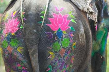 Elephant Decorated with Colorful Painting at Elephant Festival, Jaipur, Rajasthan, India | Obraz na stenu