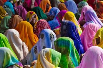 Women in colorful saris, Jhalawar, Rajasthan, India | Obraz na stenu