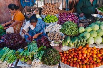 Selling fruit in local market, Goa, India | Obraz na stenu