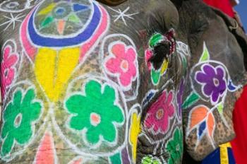 Painted Elephant, Amber Fort, India | Obraz na stenu