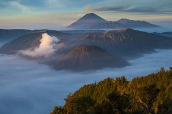Mt Bromo and Mt Merapi, East Java, Indonesia | Obraz na stenu